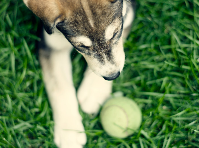 ip攻击器网页版ddos