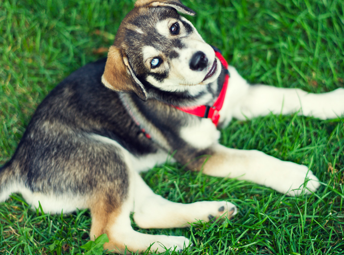 ddos服务器攻击手段