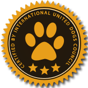 【傻瓜式】简单的ddos服务器攻击手段